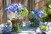 Small bouquets made of agapanthus (lily), sedum (stonecrop)