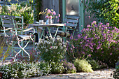 Terrassenbeet mit Sommerblumen lila und weiss