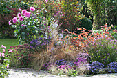 Autumn bed with perennials, grasses and dahlia