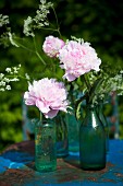 Various glass bottles filled with peonies and flowering chervil