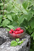 Small glass bowl of raspberries on stone
