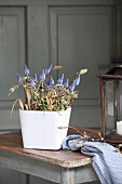 Arrangement of grape hyacinths and twigs