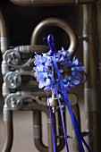 Wreath of hyacinth florets with blue ribbon hung on tuba