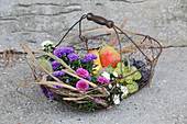 Basket of asters, grapes, pears and damsons for the harvest festival