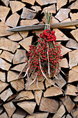 Bouquet of viburnum berries, rose hips, reeds and raspberry leaves on stacked firewood