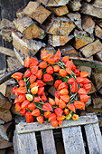 Wreath of moss and physalis on crate in front of stacked firewood