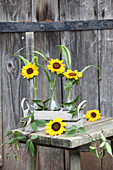 Sunflowers in glass bottles in wooden crate