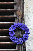Wreath of cornflowers hung from vintage shutter