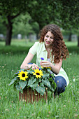 Young woman with basket of sunflowers and cornflowers on lawn