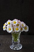 Posy of daisies in vintage-style glass vase