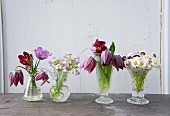 Nostalgische Glasvasen mit verschiedenen Wiesenblumen