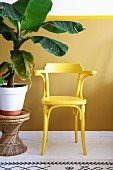 Yellow armchair next to leafy houseplant on wicker stool against yellow wall