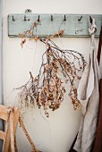 Branch of dried leaves hung from old coat rack