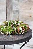 Wreath decorate with Chamelaucium and eggs on black garden table