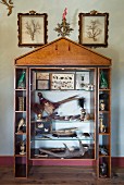 Stuffed animals, animal figurines, birds' feathers and collection of beetles in display case