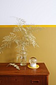 Dried asparagus fern in glass bottle against two-tone wall