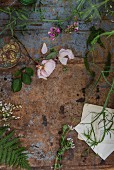 Verschiedene Blumen und Blätter auf einer abgenutzten Tischplatte