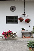 Flowers in old wheelbarrow and hanging baskets suspended from ox yoke