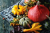 Assortment of different edible and decorative pumpkins and autumn berries in black decorative tray