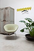 Yellow, zigzag, wall-mounted coat rack next to grey vintage cupboard, retro armchair and houseplant with large leaves