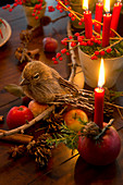 Festive arrangement of bird ornament of larch branch, moss and candles in terracotta pot and candle in apple