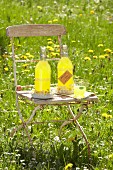Orangen-Honig-Limonade in Bügelflaschen mit Blumenkränzchen auf Vintage Stuhl im Garten