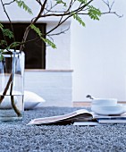 Leafy branch in glass vase next to books and crockery on grey rug