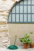 Succulents and garden hose in front of stone wall with arched window