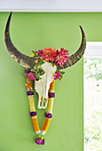 Buffalo skull decorated with Indian artificial flowers on green wall