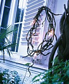 Wreath of branches and fairy lights hung from shutter