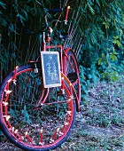 Red bicycle decorated with Christmas-tree candles and school slate in front of bamboo