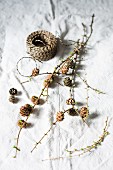 Larch twigs with cones and green shoots next to binding twine on linen cloth