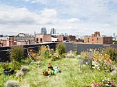 Green roof with flowers, chairs and views of Brooklyn and Manhattan