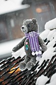 Tweed teddy bears wearing scarf sitting on snowy hammock