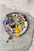 Edible flowers (dandelion, violet, viola, daisy, ground ivy)
