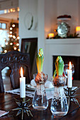 Sprouting hyacinths in bulb vases and star-shaped candlesticks on table