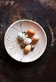 Various fresh eggs on cracked plate