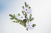 White felt, embroidered, hand-made decorations on green fir branch