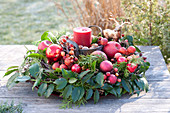 Red candle in a wreath of Ilex and conifers branches