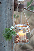 Household glass hung as a lantern, Pinus, stars from bark