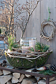 Lantern in wire basket with moss, branches of pinus (pine)