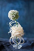 White allium flower in glass vase wrapped in cord