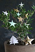 Origami stars and paper Christmas tree arranged on small olive tree