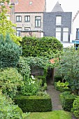 Green back garden in city