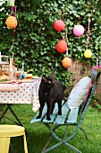 Black cat stood on garden chair next to table set for children's party