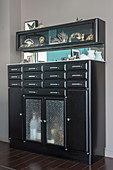Black retro cabinet with curiosities in glass-fronted modules