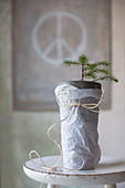 Tiny potted fir tree wrapped in tissue paper