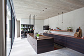 Modern kitchen with dark wooden cabinets in architect-designed house