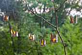 Candle lanterns hand-made from tin cans in garden