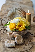Arrangement of fossils and yellow and white roses in half a coconut shell
